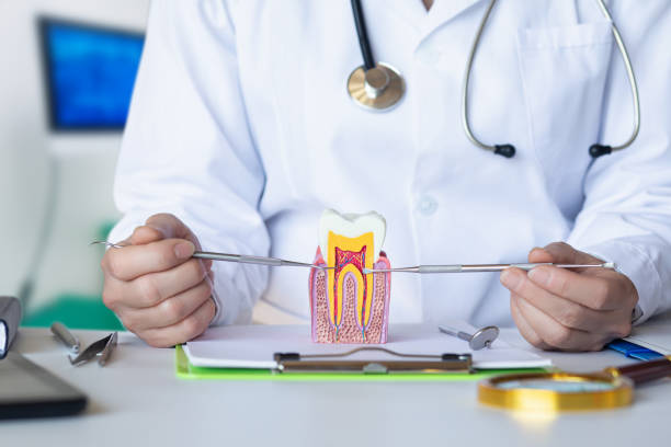 Best Walk-In Emergency Dental Services in Robins, IA